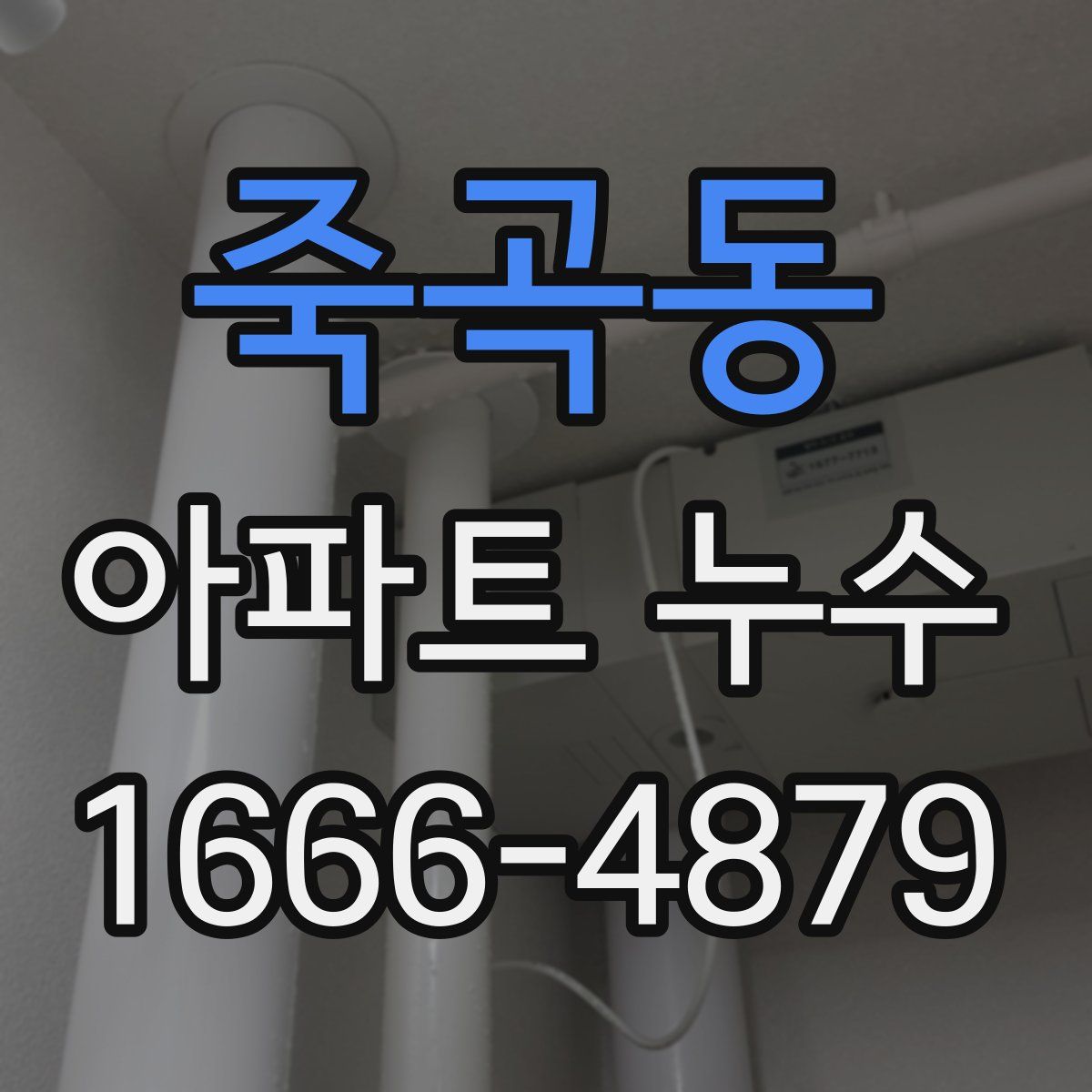 죽곡동 아파트 누수