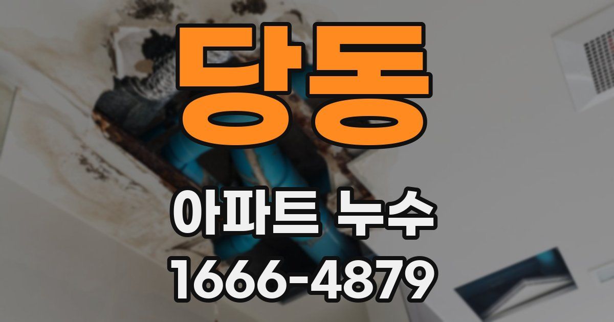당동 아파트 누수