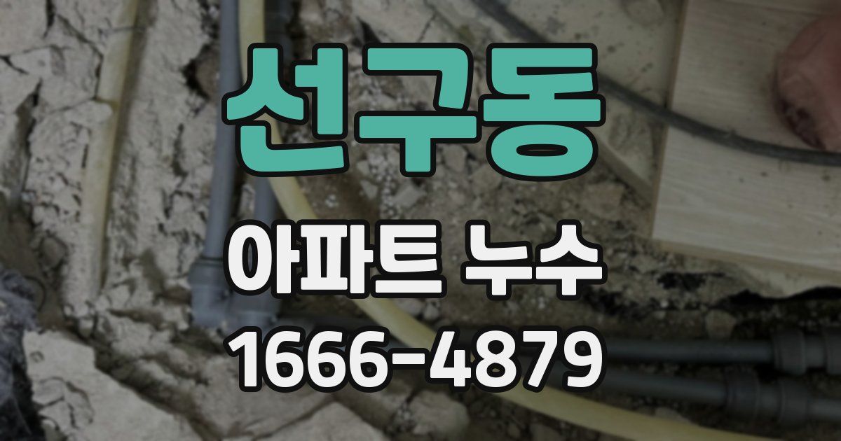 선구동 아파트 누수