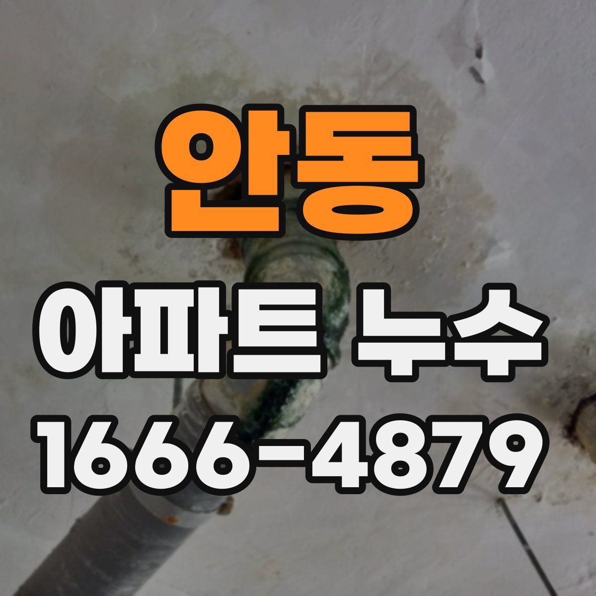 안동 아파트 누수