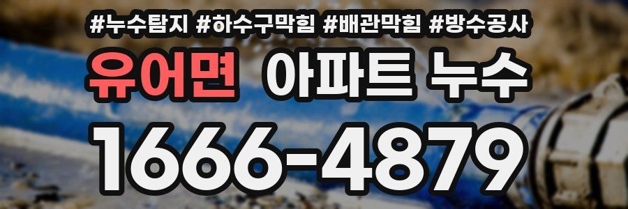 유어면 아파트 누수
