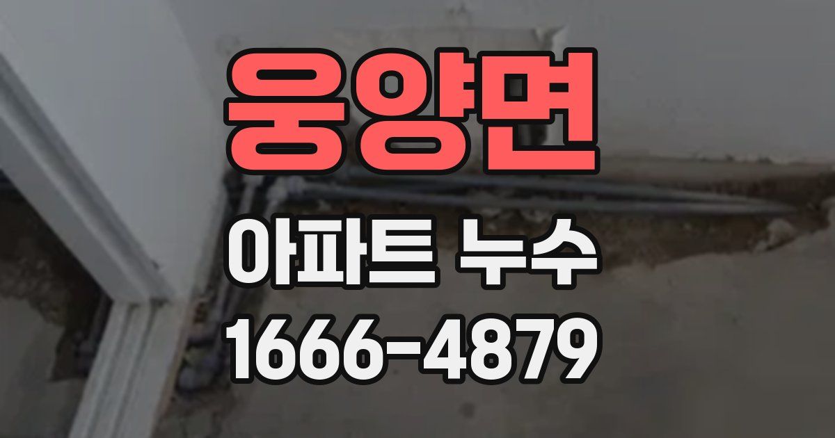 웅양면 아파트 누수