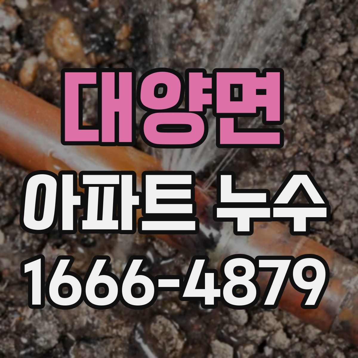 대양면 아파트 누수