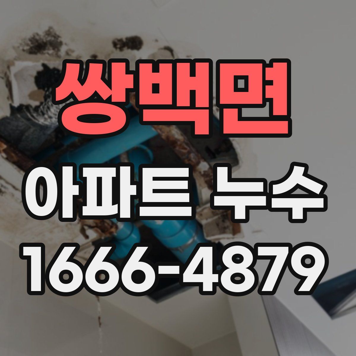 쌍백면 아파트 누수