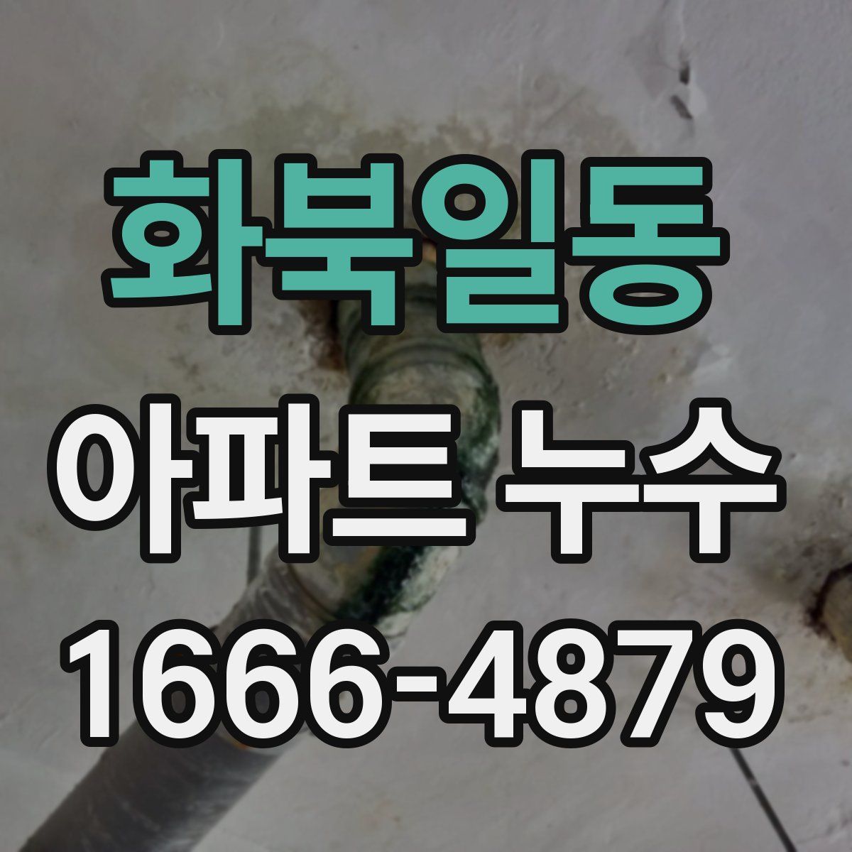 화북일동 아파트 누수