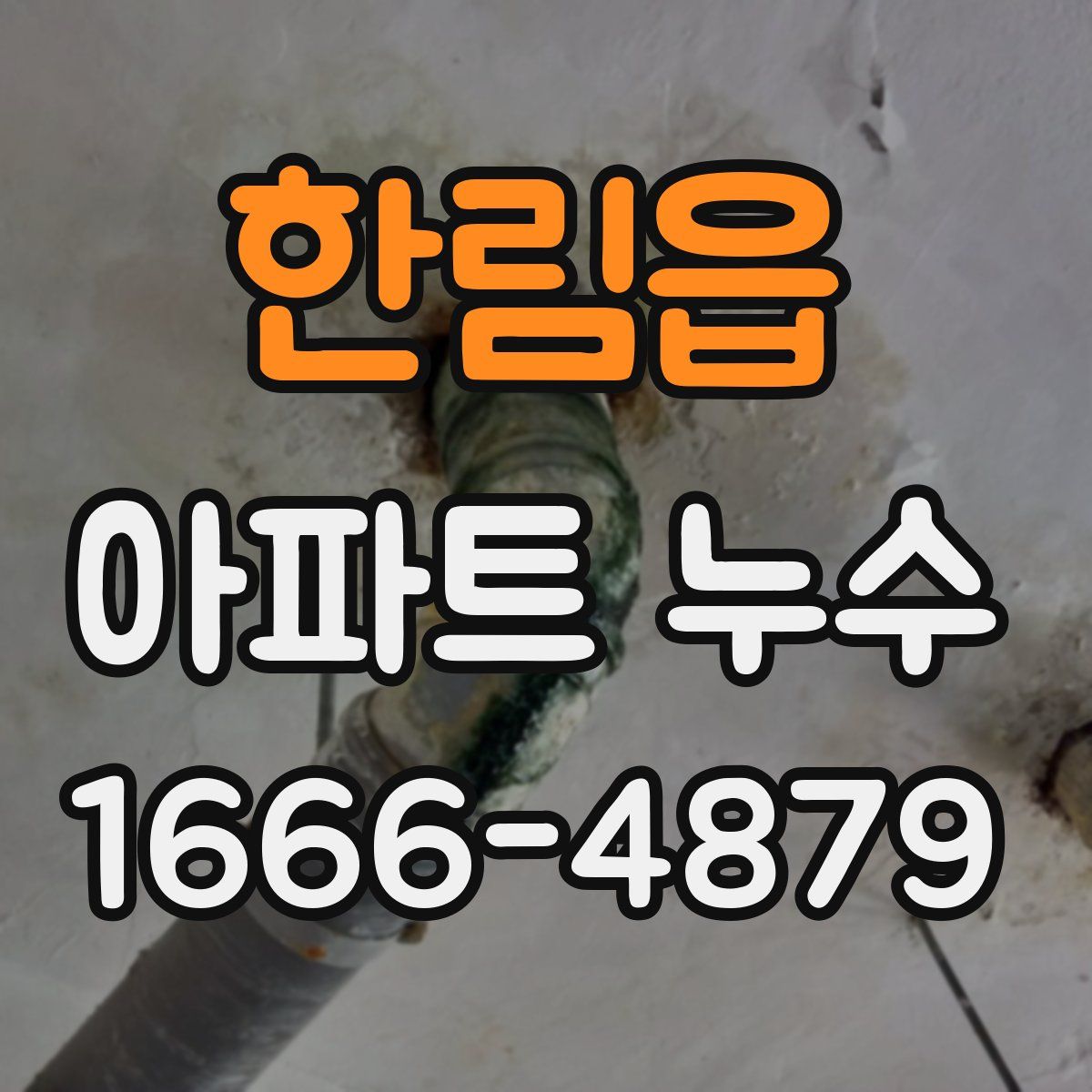 한림읍 아파트 누수
