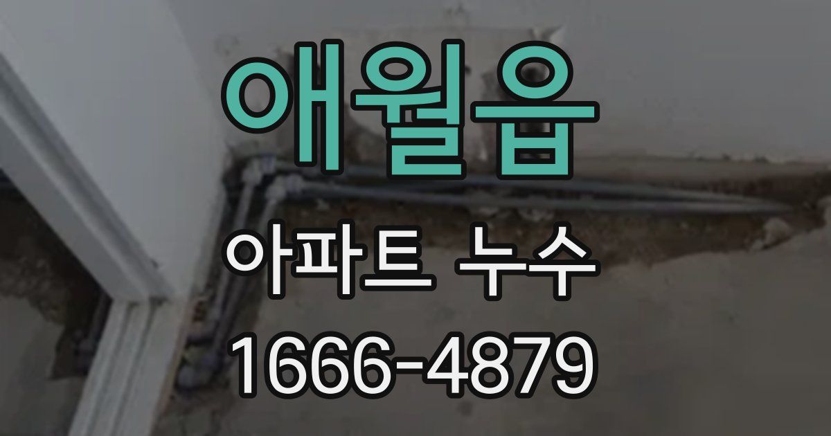 애월읍 아파트 누수