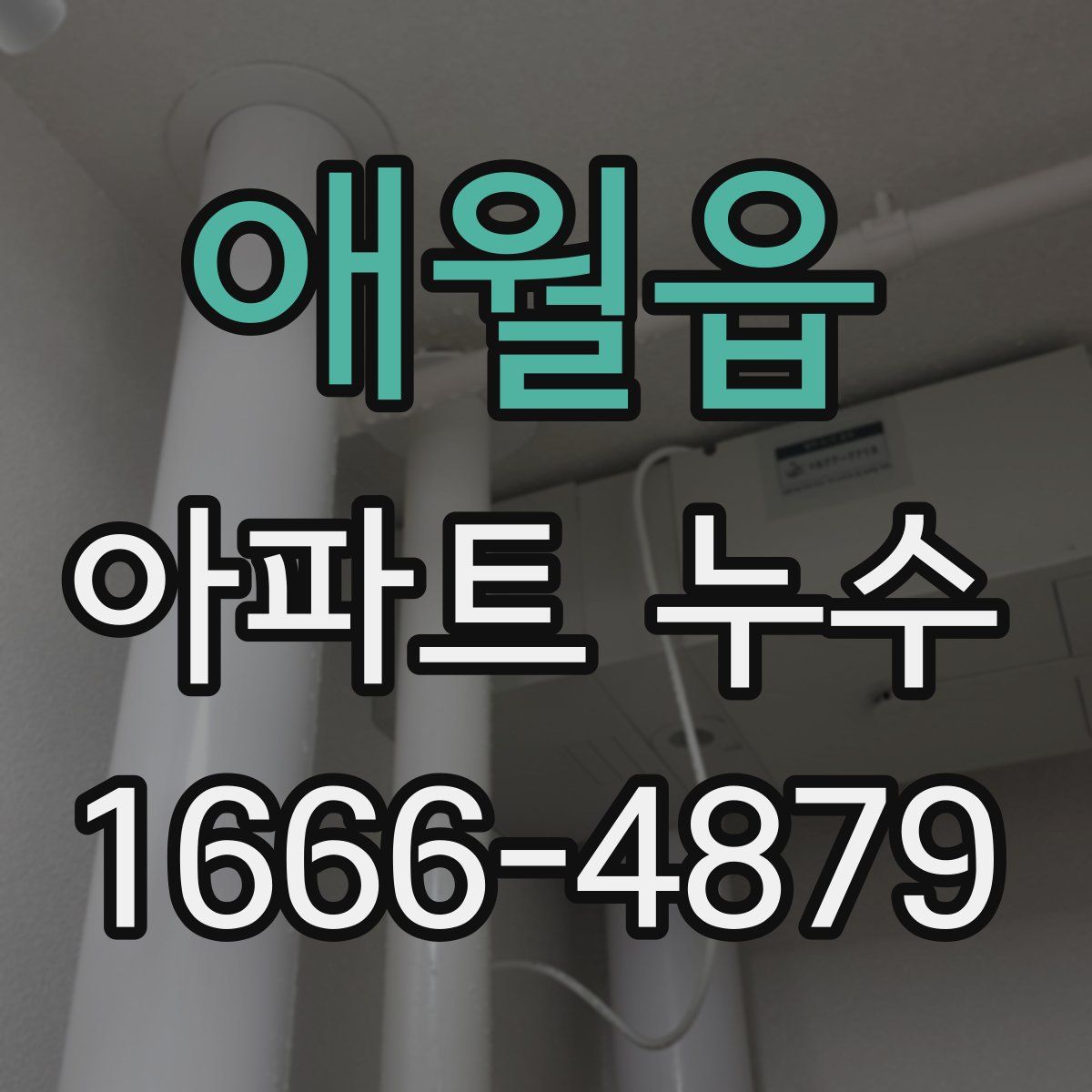 애월읍 아파트 누수
