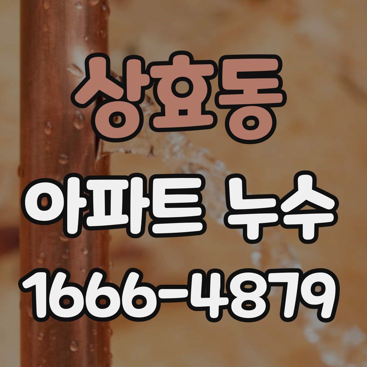 상효동 아파트 누수