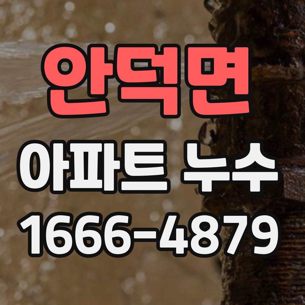 안덕면 아파트 누수