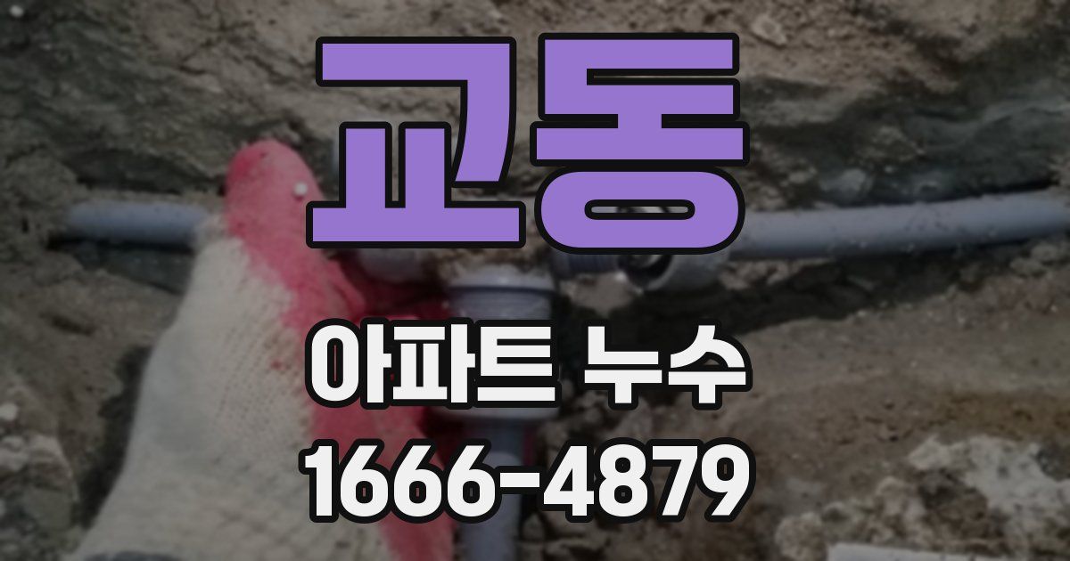 교동 아파트 누수