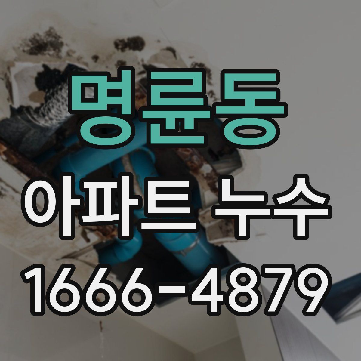 명륜동 아파트 누수