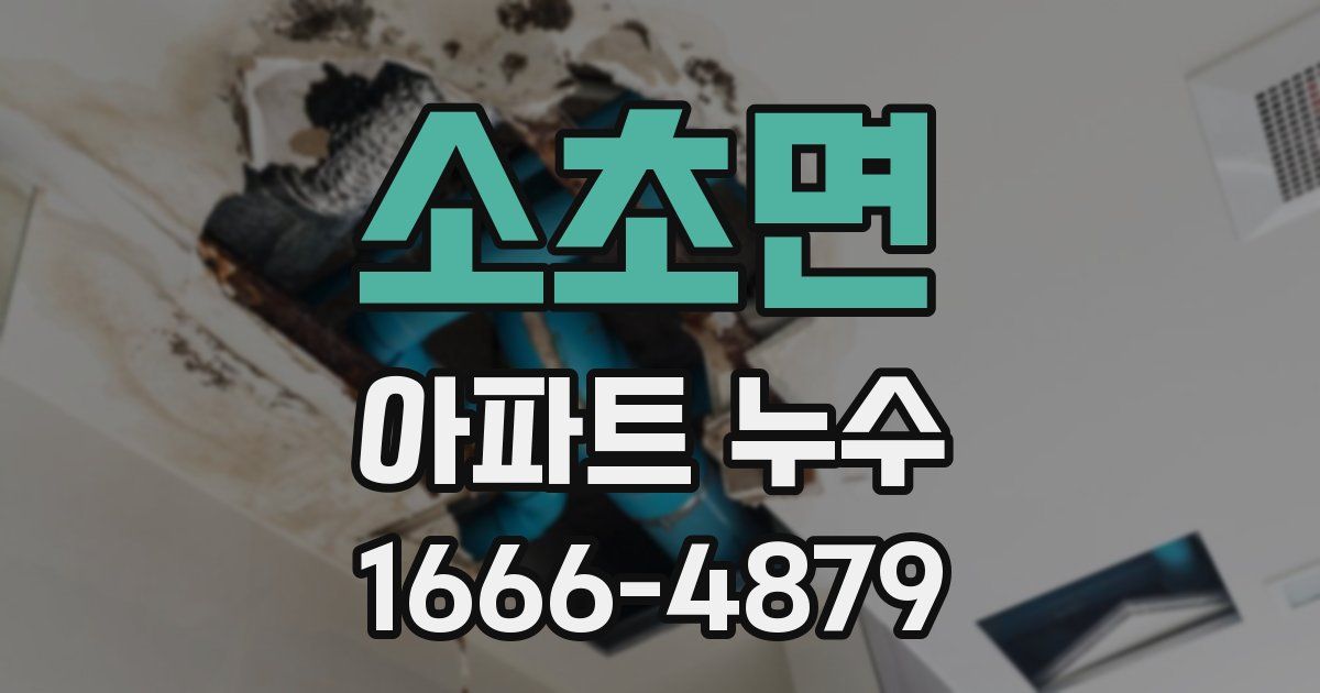 소초면 아파트 누수