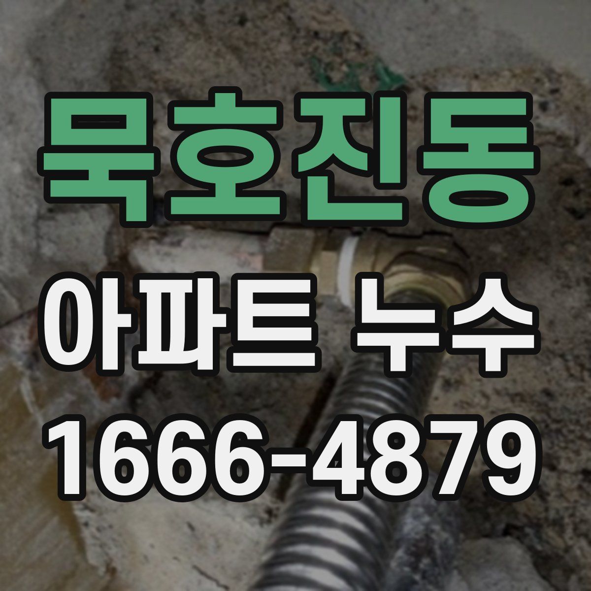 묵호진동 아파트 누수