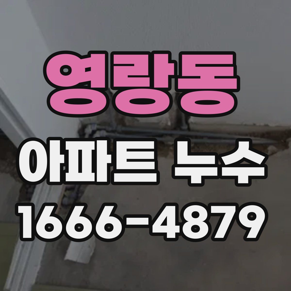 영랑동 아파트 누수