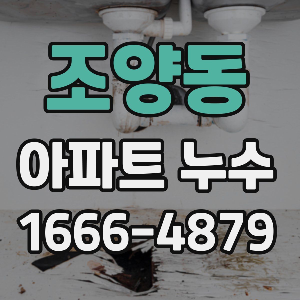조양동 아파트 누수