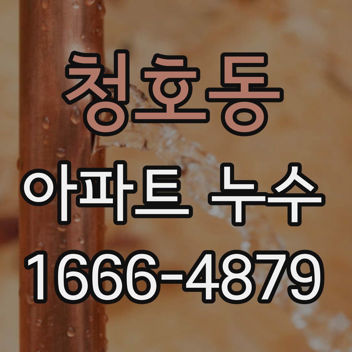 청호동 아파트 누수