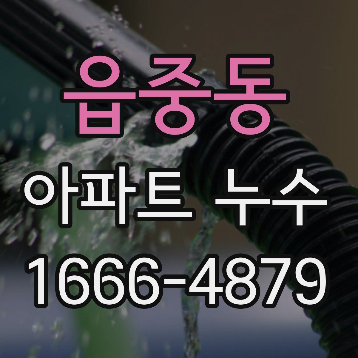읍중동 아파트 누수