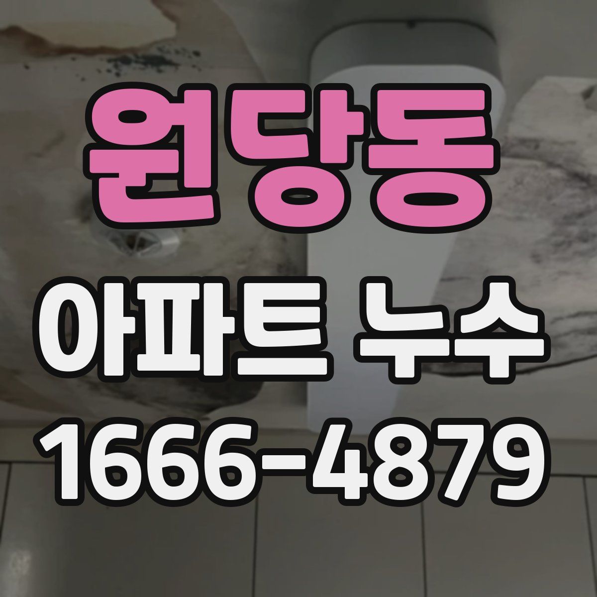 원당동 아파트 누수