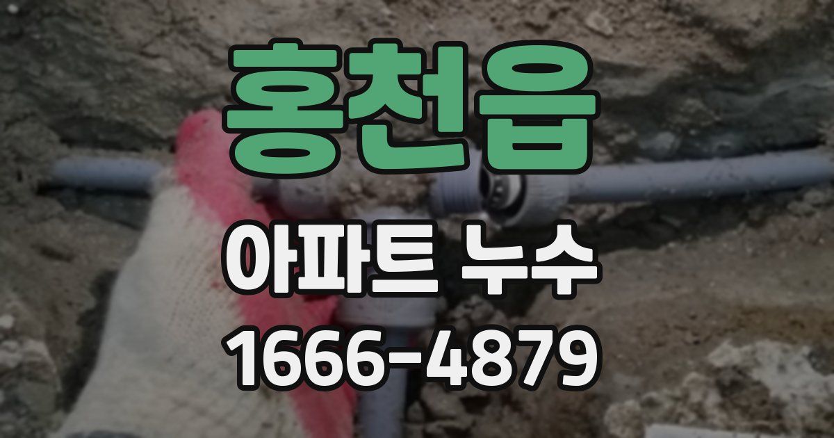 홍천읍 아파트 누수