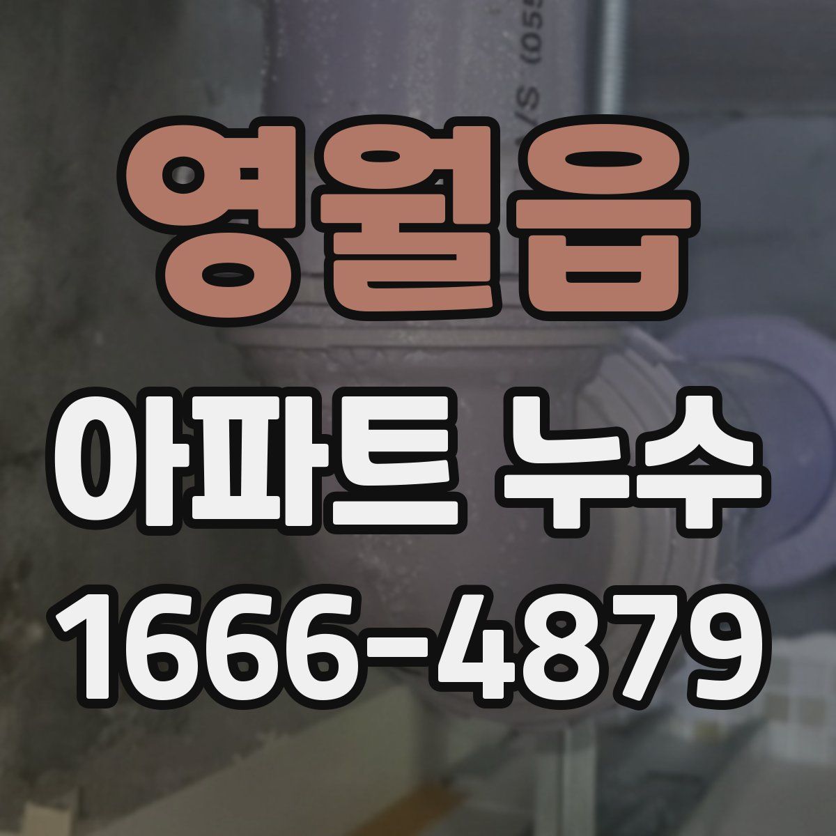 영월읍 아파트 누수