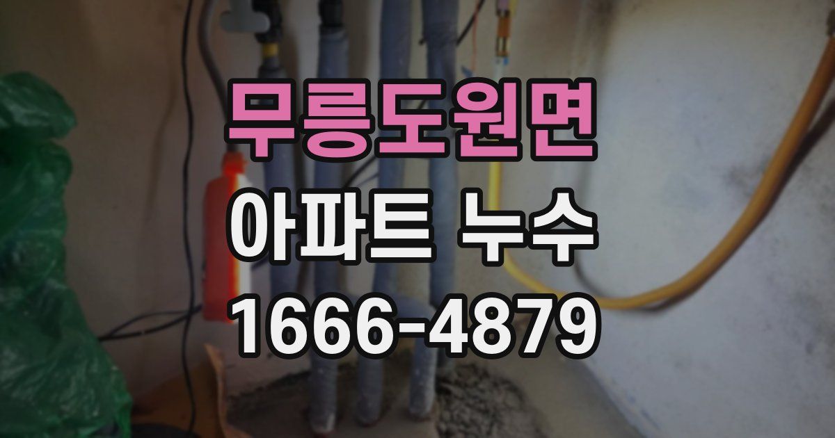 무릉도원면 아파트 누수
