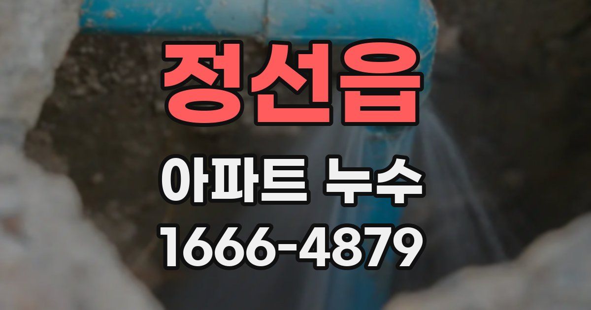 정선읍 아파트 누수