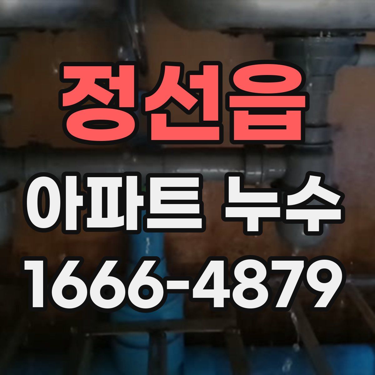 정선읍 아파트 누수