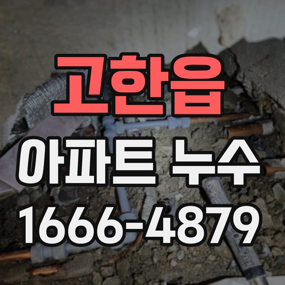 고한읍 아파트 누수 관련 상담 시 물어볼 질문