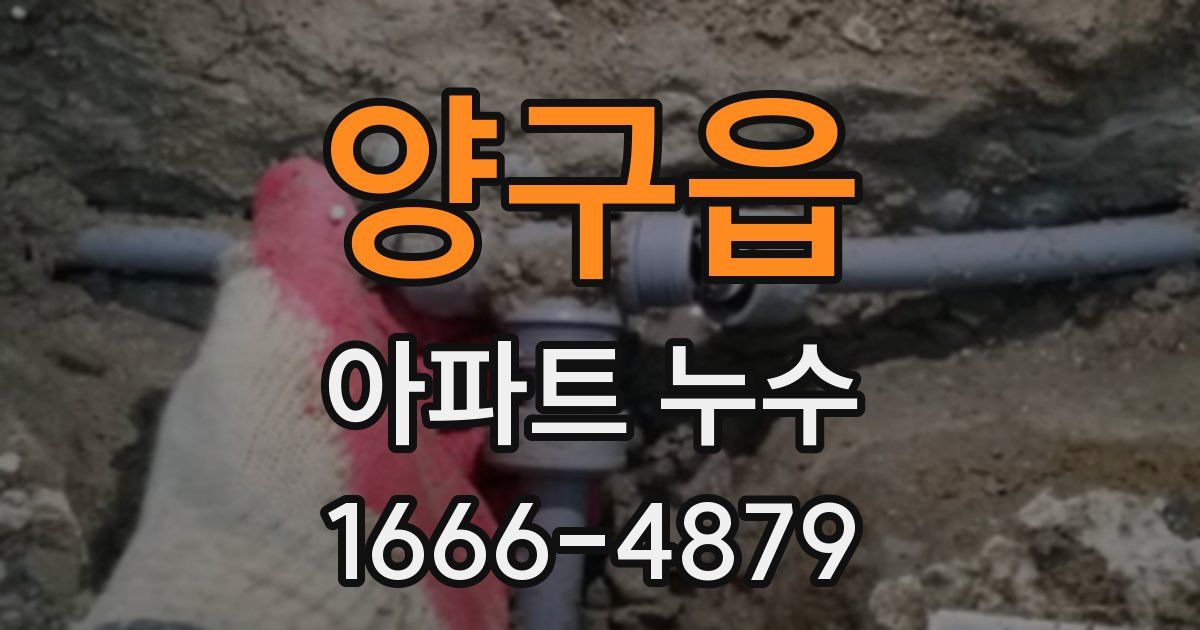 양구읍 아파트 누수