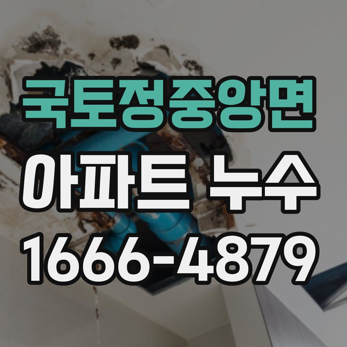 국토정중앙면 아파트 누수