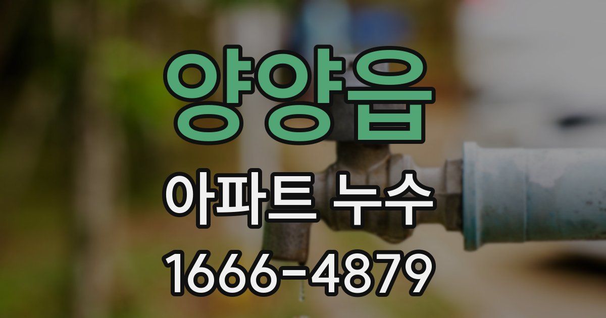 양양읍 아파트 누수