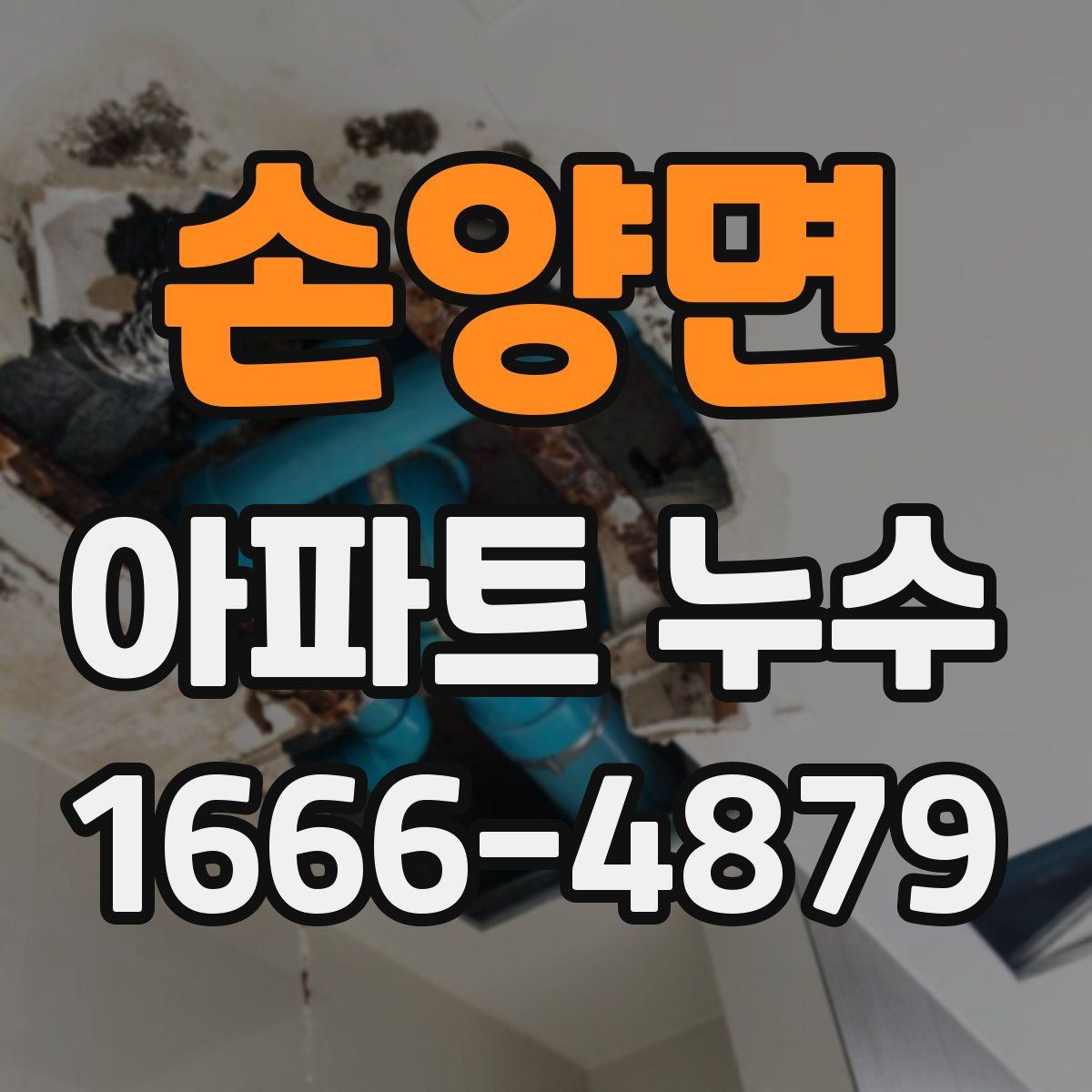 손양면 아파트 누수