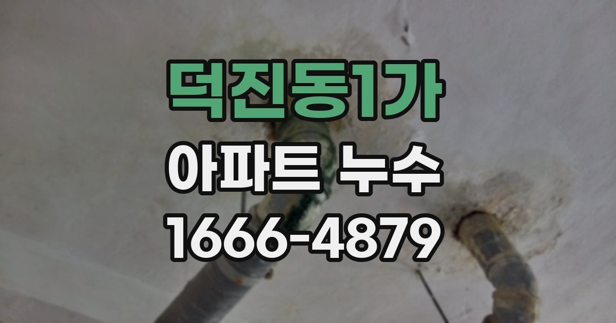 덕진동1가 아파트 누수