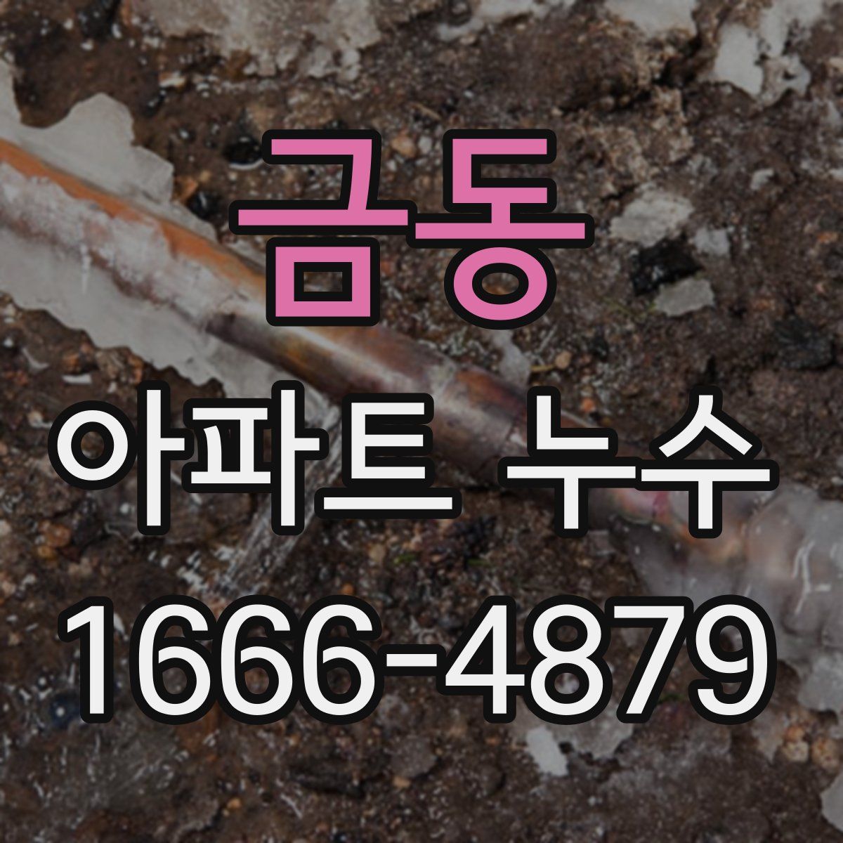금동 아파트 누수