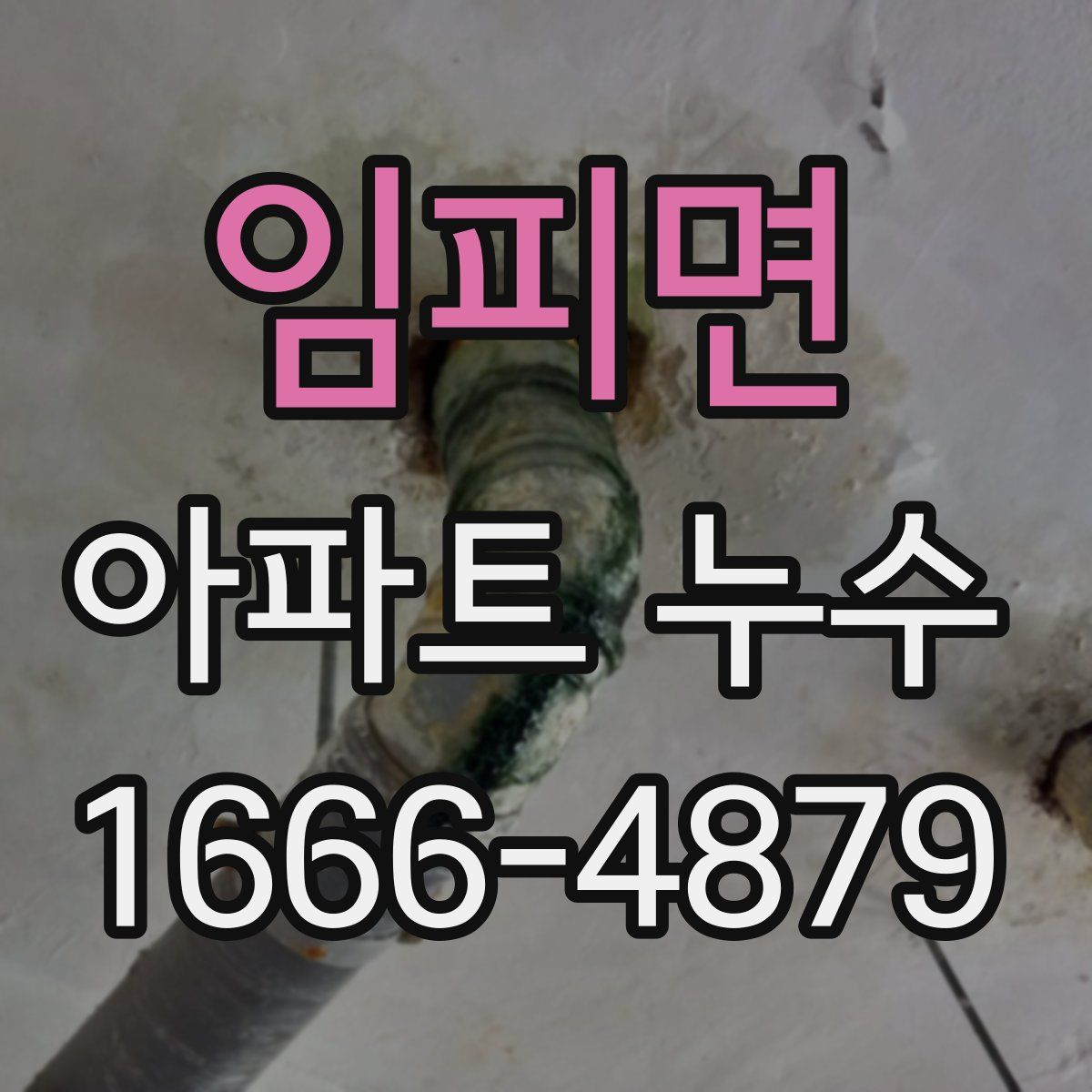 임피면 아파트 누수