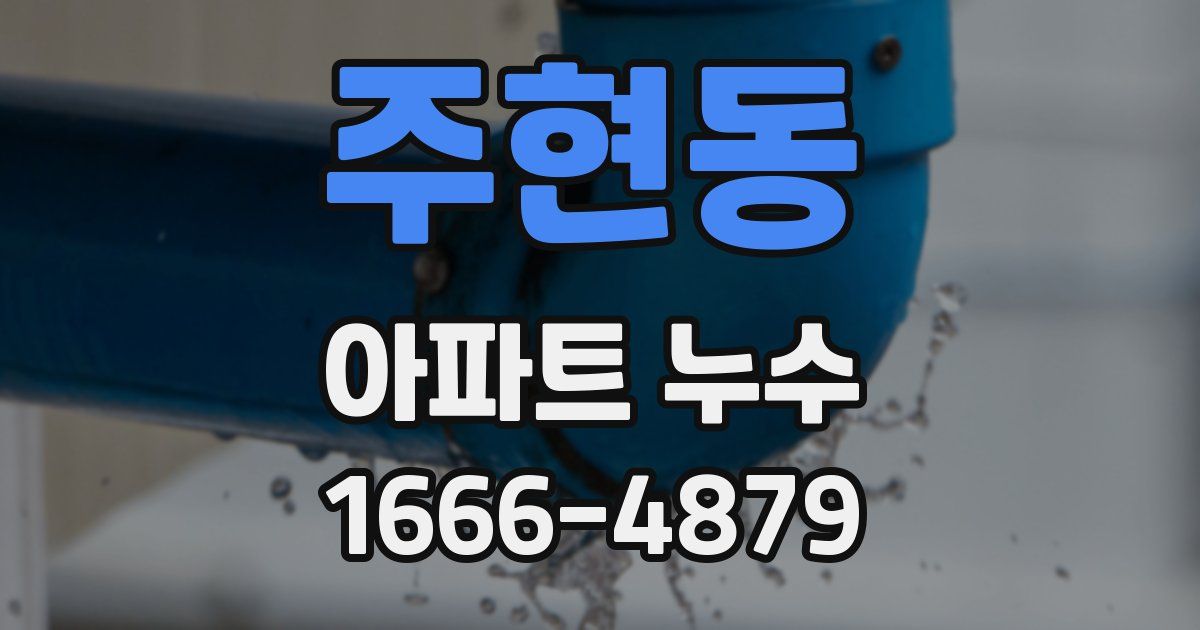 주현동 아파트 누수