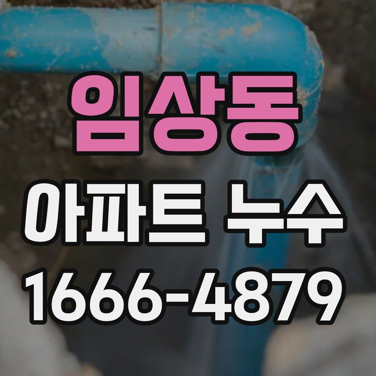 임상동 아파트 누수