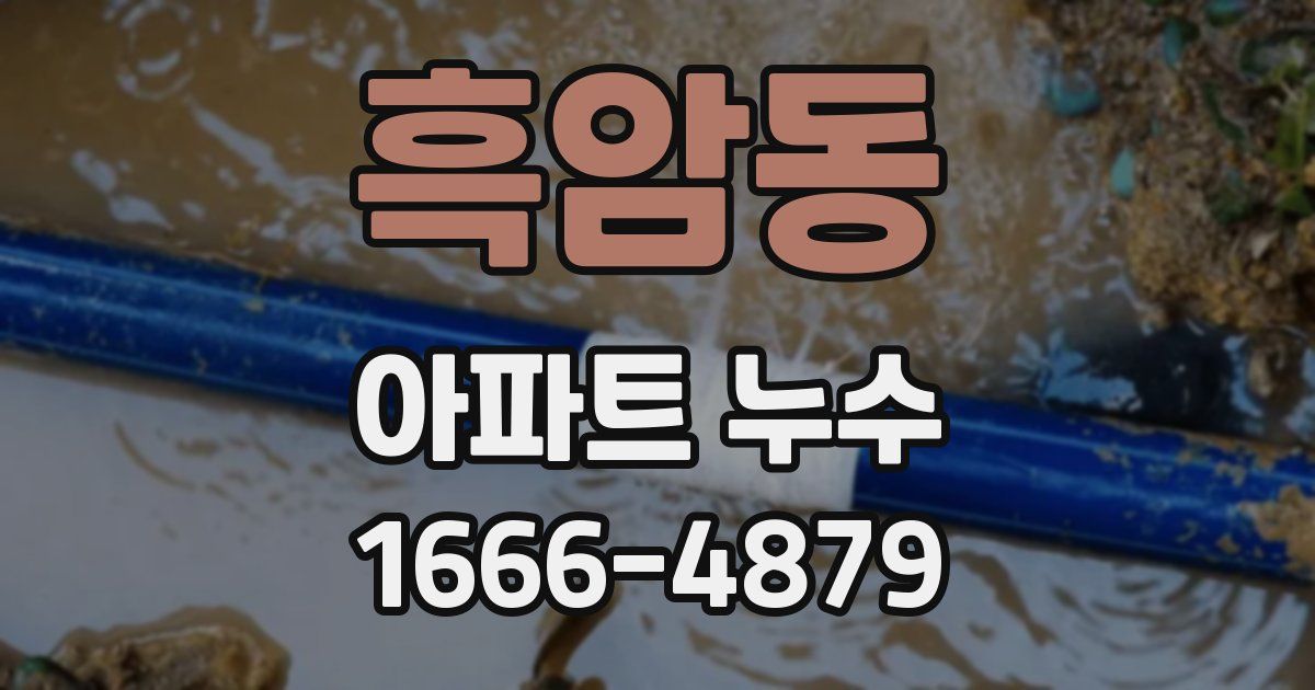 흑암동 아파트 누수