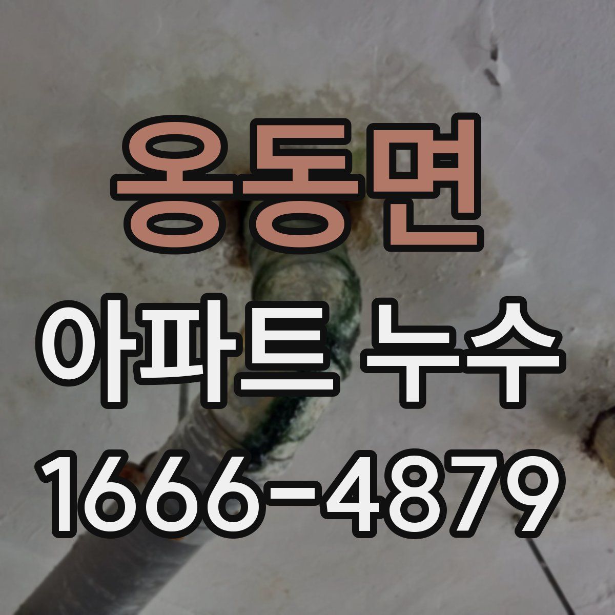 옹동면 아파트 누수