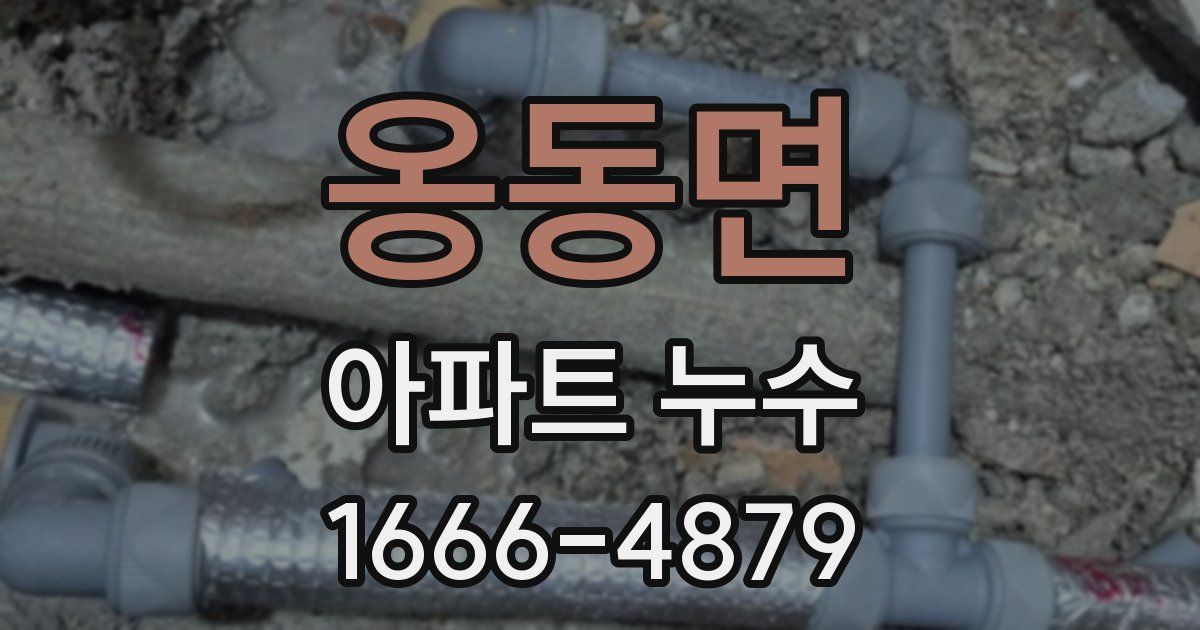 옹동면 아파트 누수