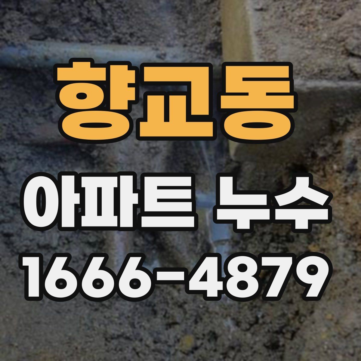 향교동 아파트 누수 냄새와 곰팡이로 알 수 있는 신호