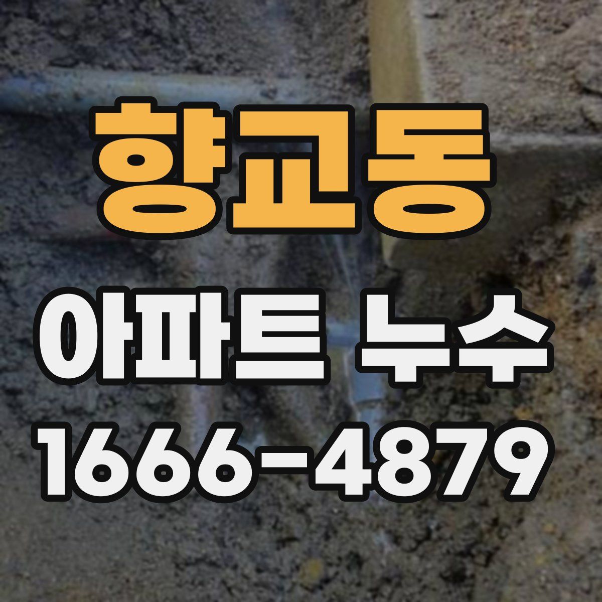 향교동 아파트 누수