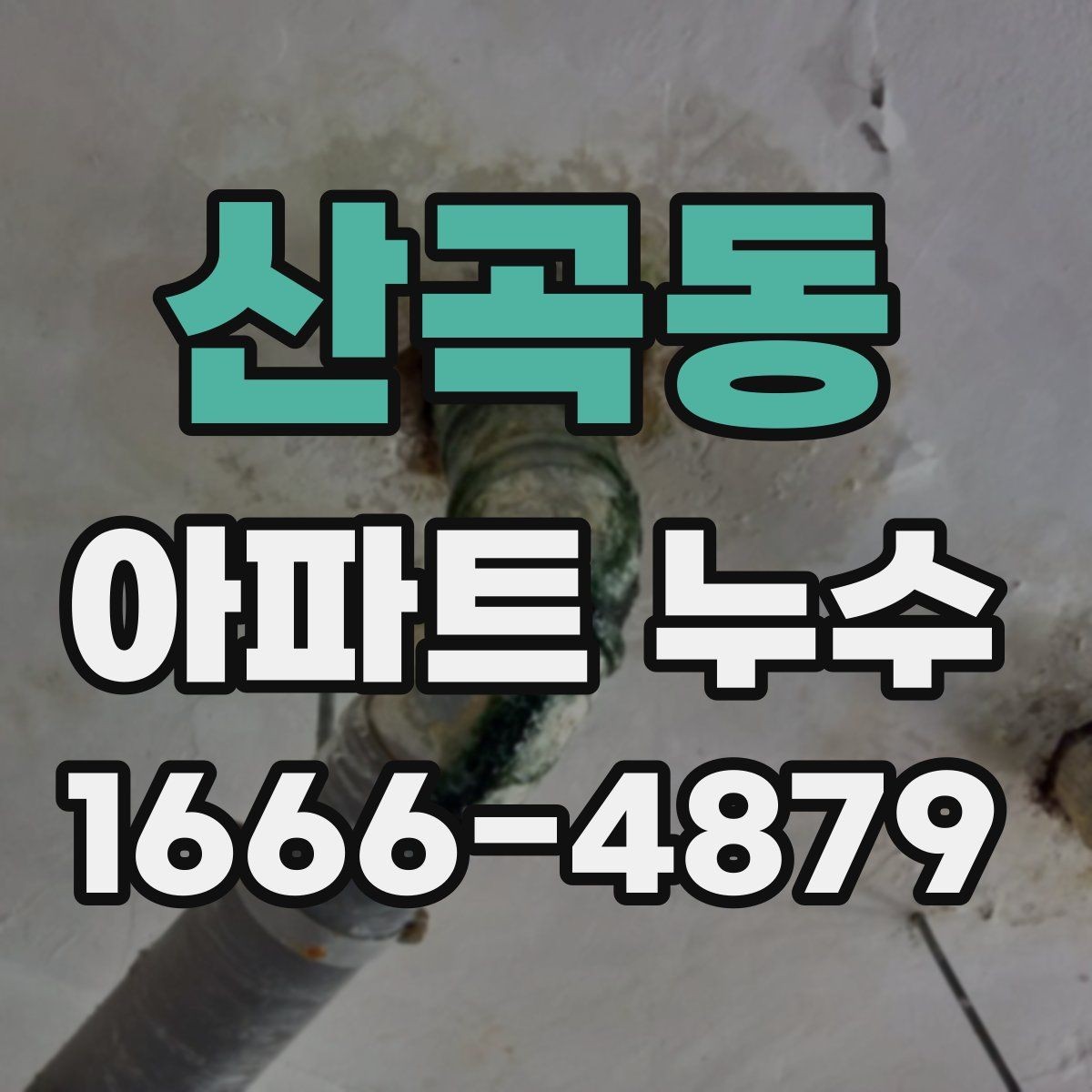 산곡동 아파트 누수 점검 요청 전 알아둘 내용