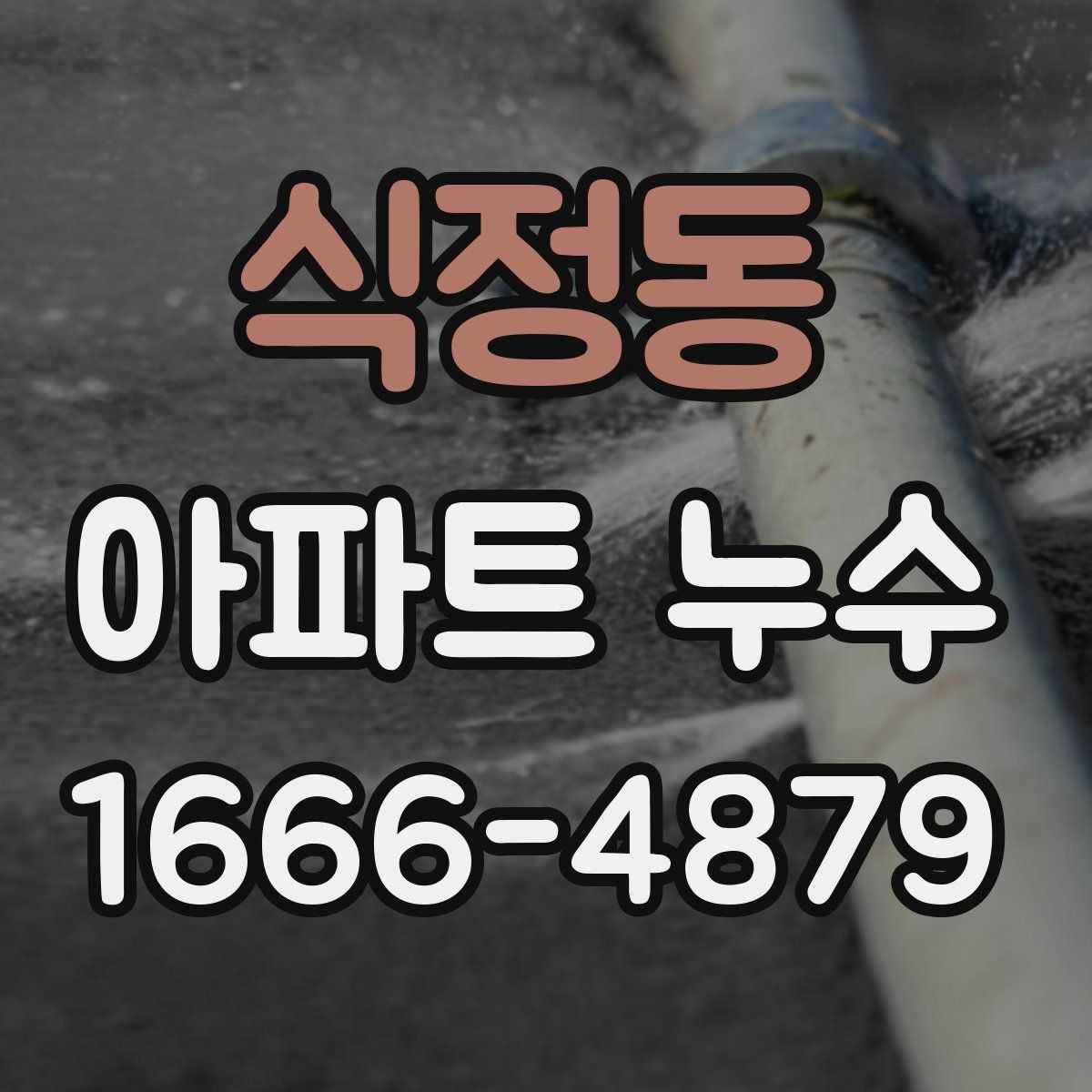 식정동 아파트 누수