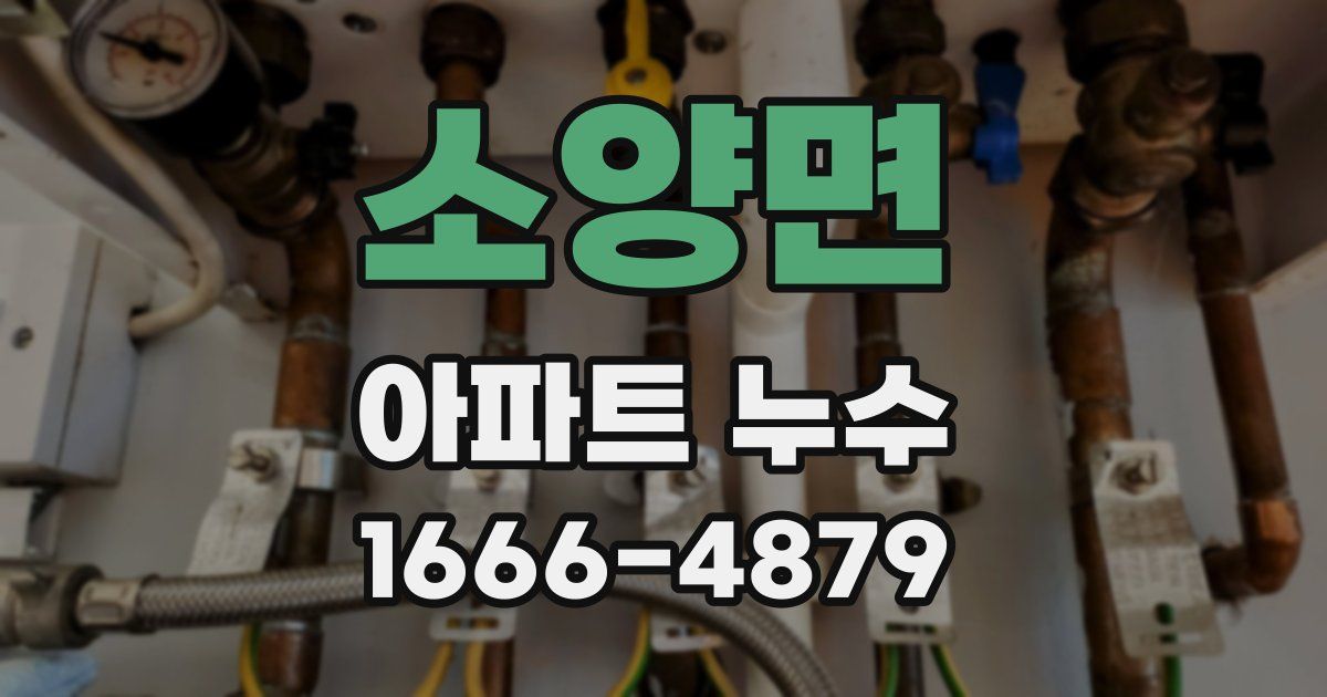 소양면 아파트 누수