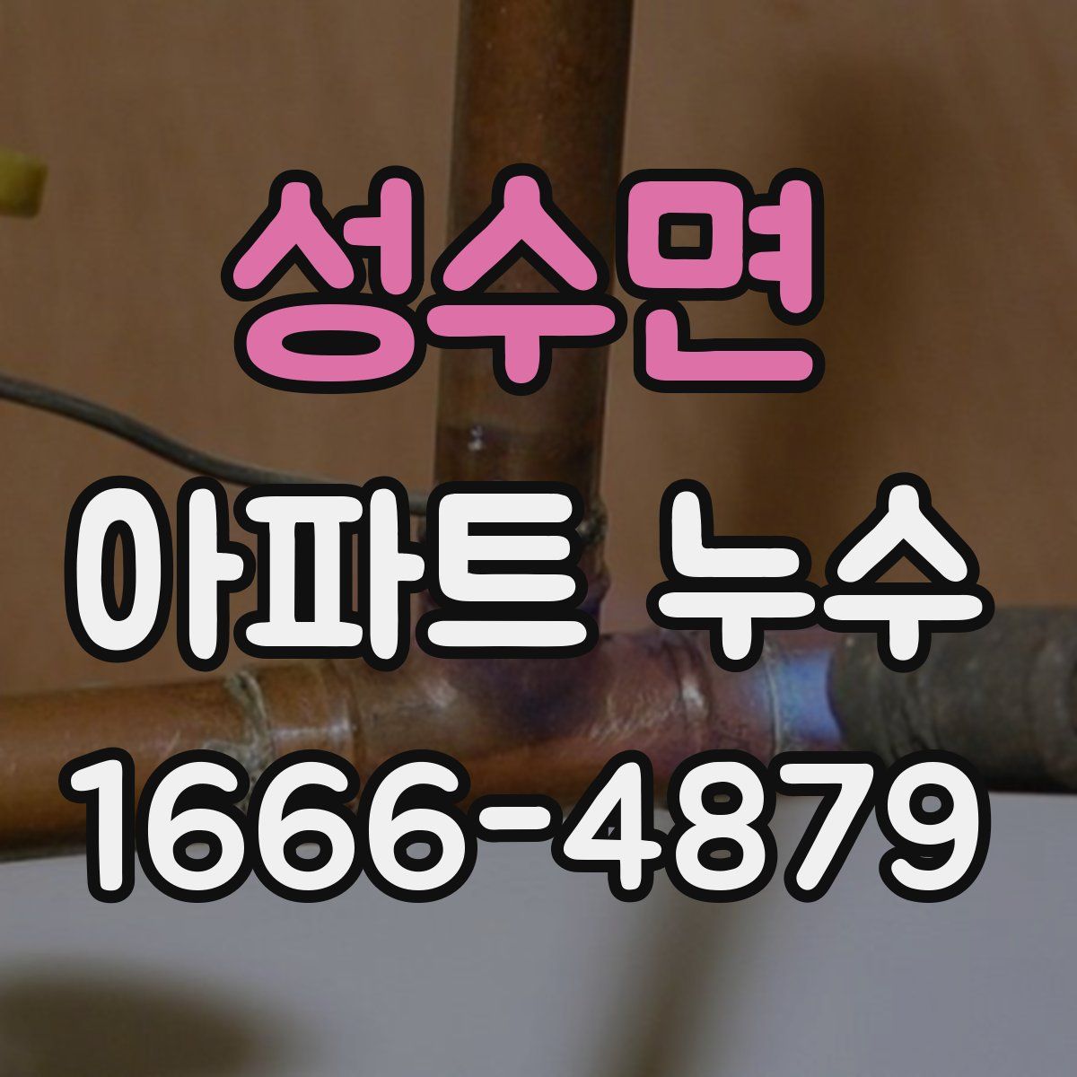 성수면 아파트 누수