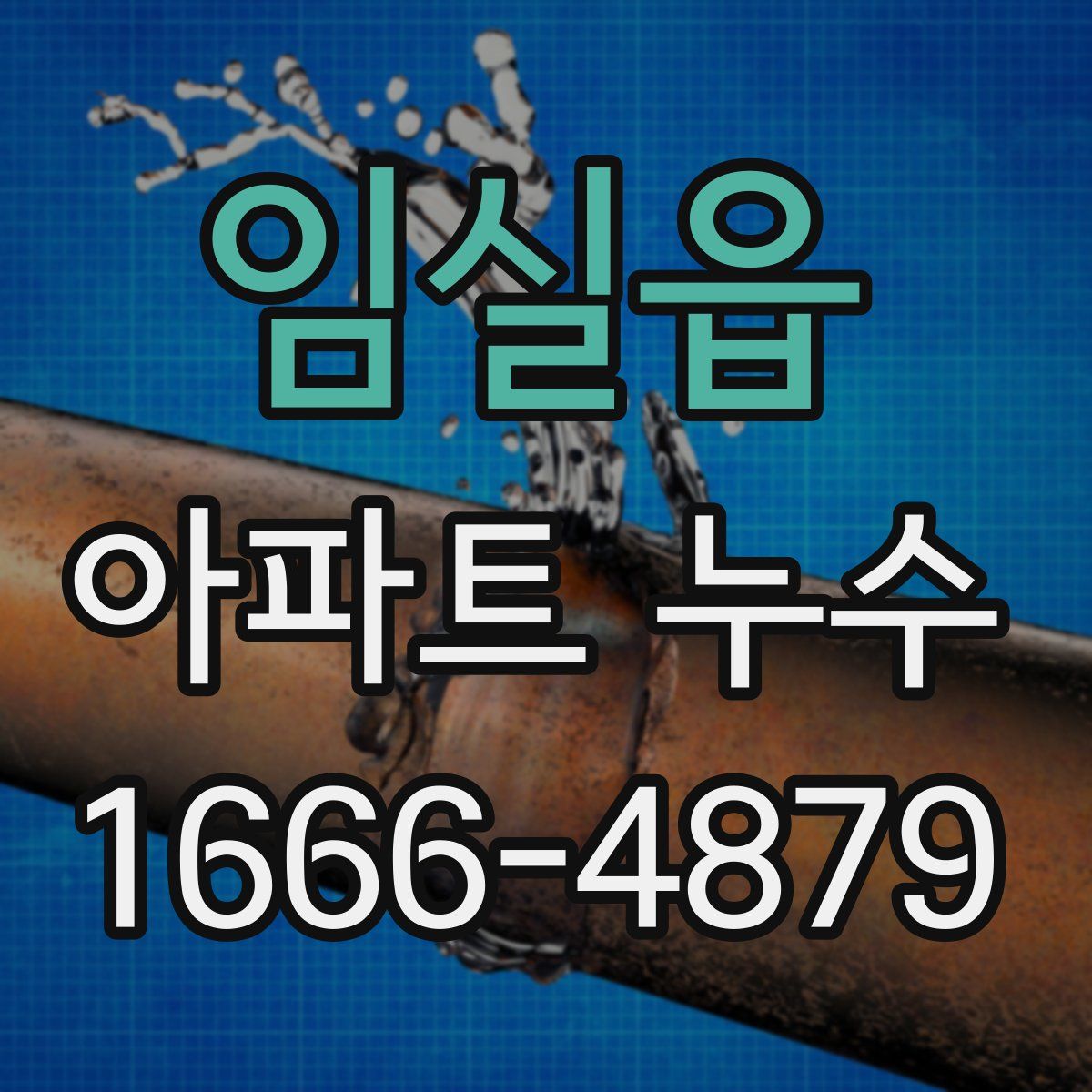 임실읍 아파트 누수