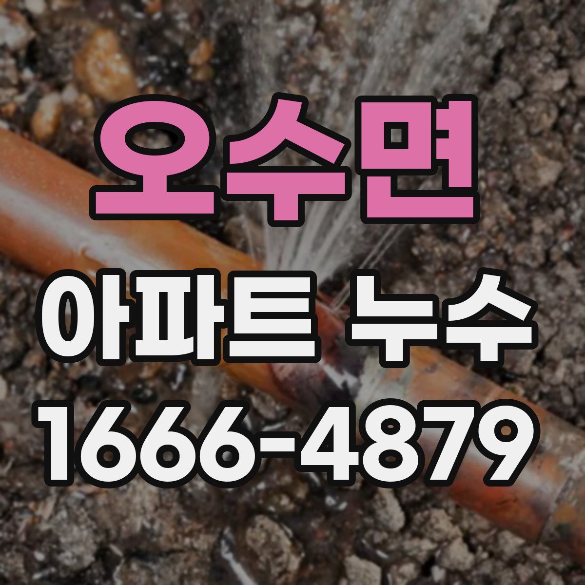 오수면 아파트 누수