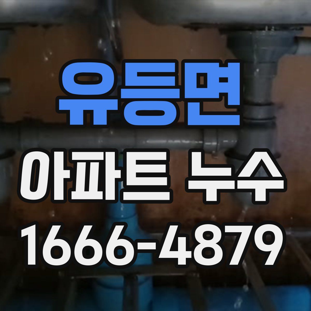 유등면 아파트 누수